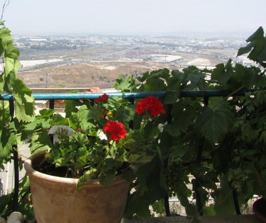 The Artist'S House Overlooking The Bay Of Haifa Exterior foto